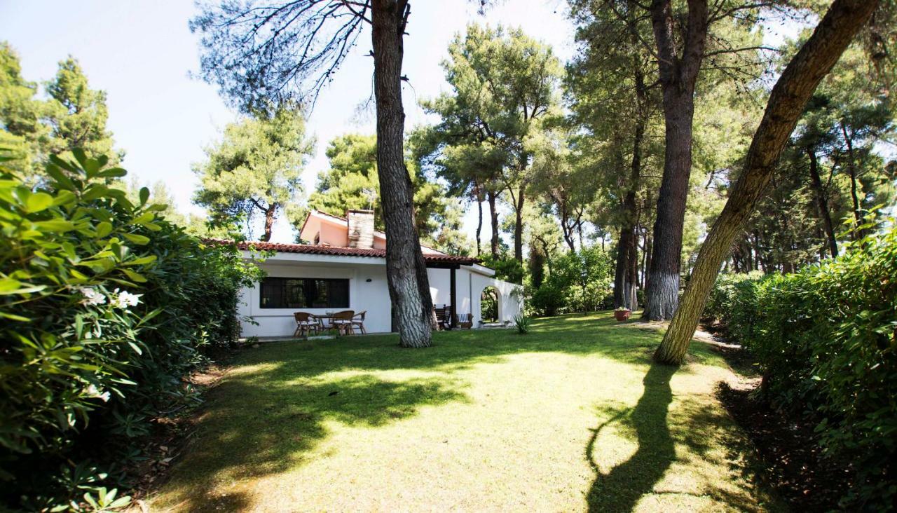 Villa Irini In Sani Sani  Екстер'єр фото